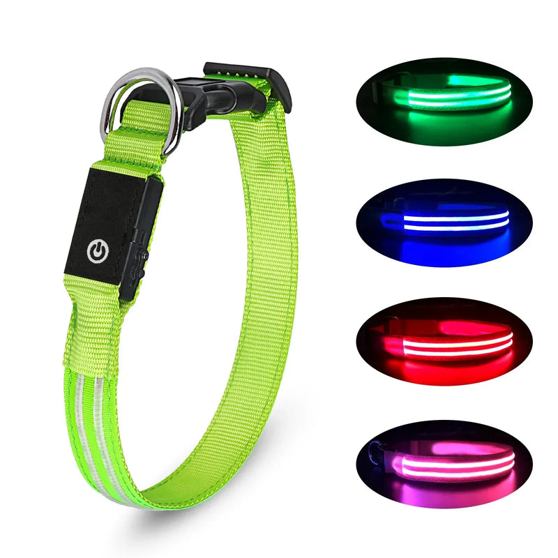 Dog LED Light Collar