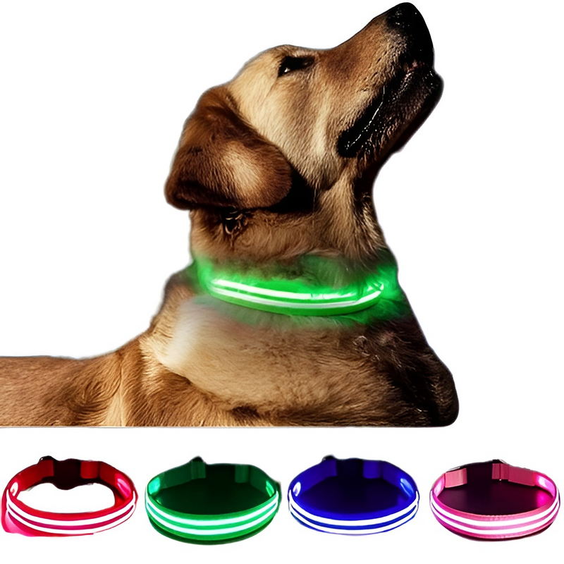 Dog LED Light Collar